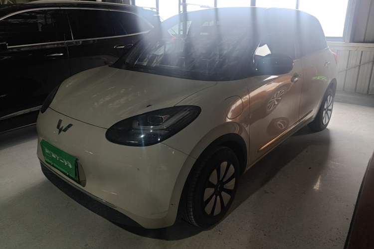 Wuling Bingo 2024 333 km Enjoyment Version