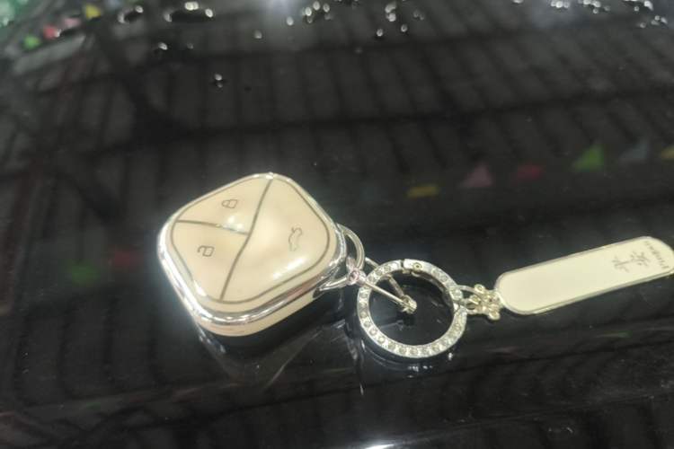 Used Wuling Bingo 2025 333 km Lingxi Connected Version Vehicle Key