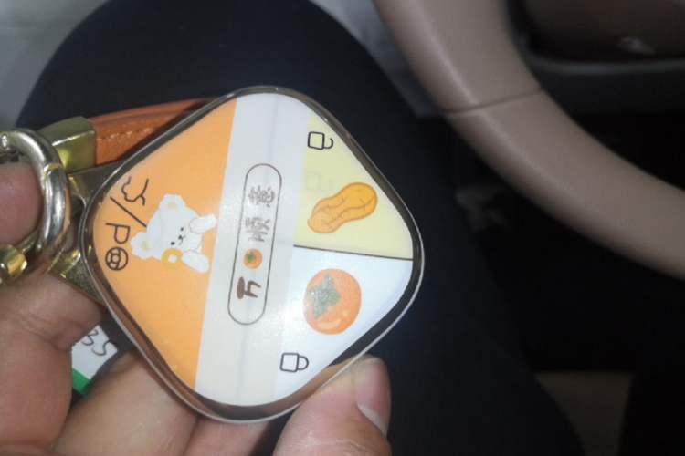 Used Wuling Bingo 2025 333 km Enjoyment Version Vehicle Key