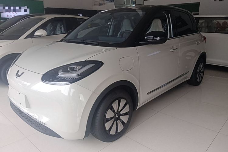 Wuling Bingo 2025 333 km Lingxi Connected Version