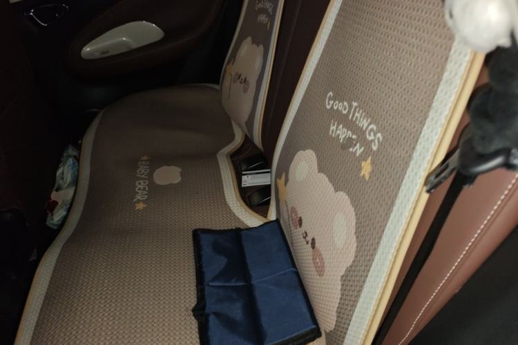Used Wuling Bingo 2025 333 km Lingxi Connected Version Left Rear Seat