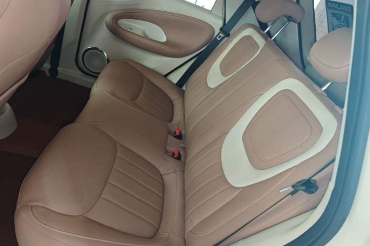 Used Wuling Bingo 2025 333 km Lingxi Connected Version Left Rear Seat