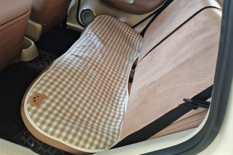 Used Wuling Bingo 2025 333 km Lingxi Connected Version Left Rear Seat
