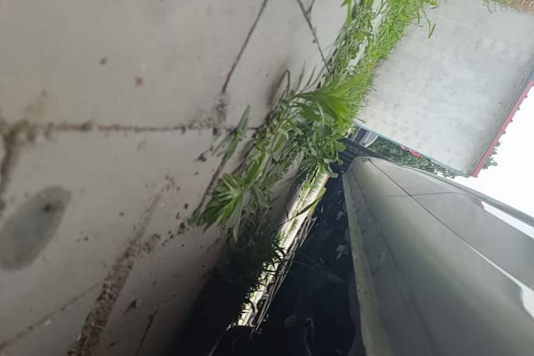 Used Wuling Bingo 2025 333 km Enjoyment Version Left Side Sill