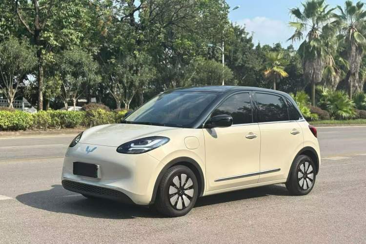 Wuling Bingo 2025 333 km Enjoyment Version