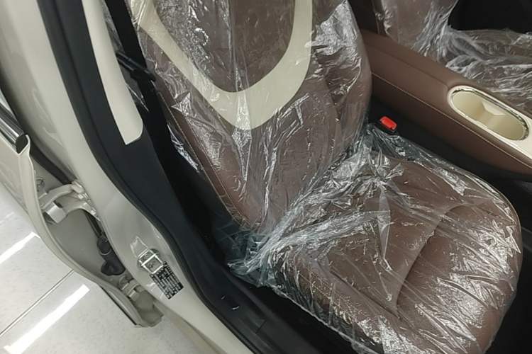 Used Wuling Bingo 2025 333 km Enjoyment Version Right Front Seat