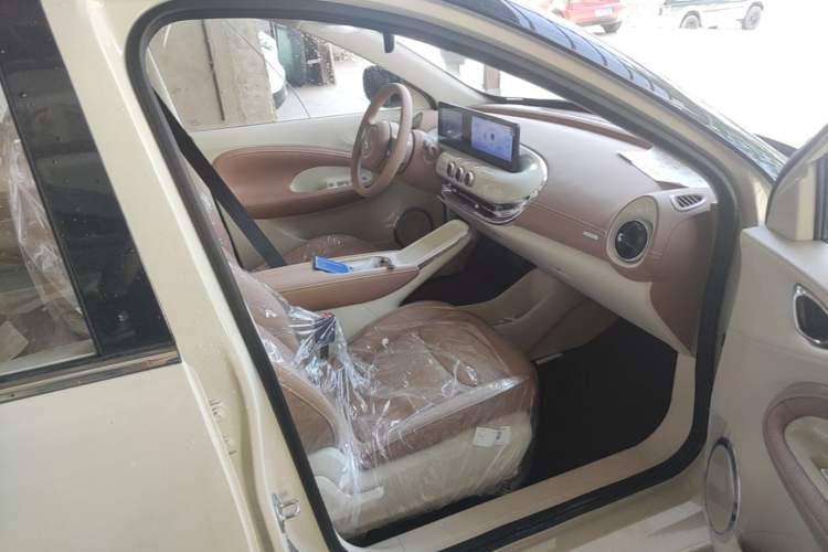 Used Wuling Bingo 2025 333 km Enjoyment Version Right Front Seat