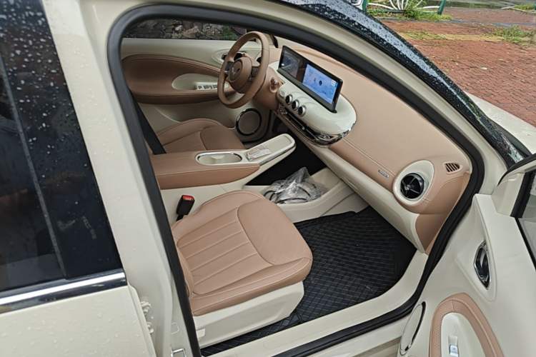 Used Wuling Bingo 2025 333 km Enjoyment Version Right Front Seat