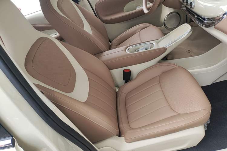 Used Wuling Bingo 2025 333 km Enjoyment Version Right Front Seat
