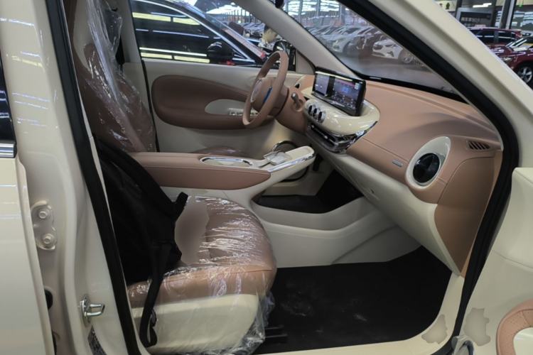 Used Wuling Bingo 2025 333 km Enjoyment Version Right Front Seat