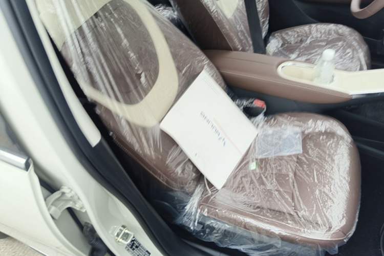Used Wuling Bingo 2025 333 km Enjoyment Version Right Front Seat