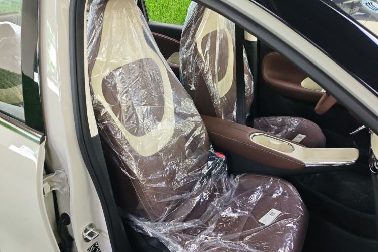 Used Wuling Bingo 2025 333 km Enjoyment Version Right Front Seat