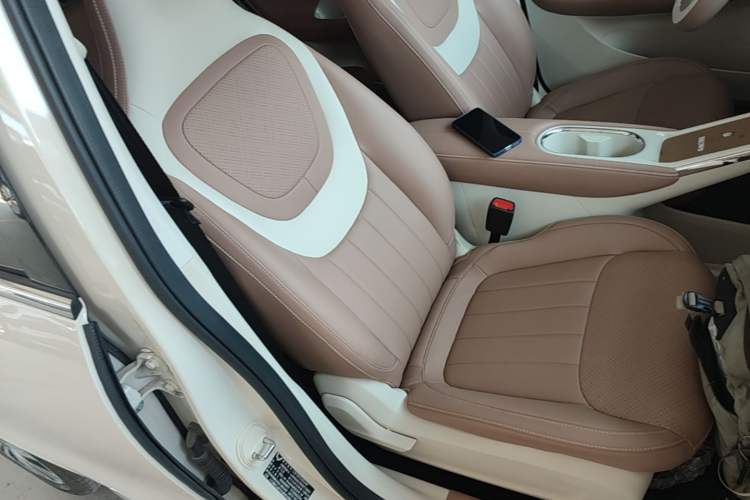 Used Wuling Bingo 2025 333 km Enjoyment Version Right Front Seat