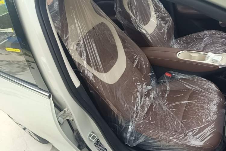 Used Wuling Bingo 2025 333 km Enjoyment Version Right Front Seat
