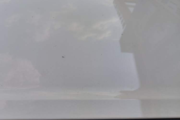 Used Wuling Bingo 2025 333 km Lingxi Connected Version Roof