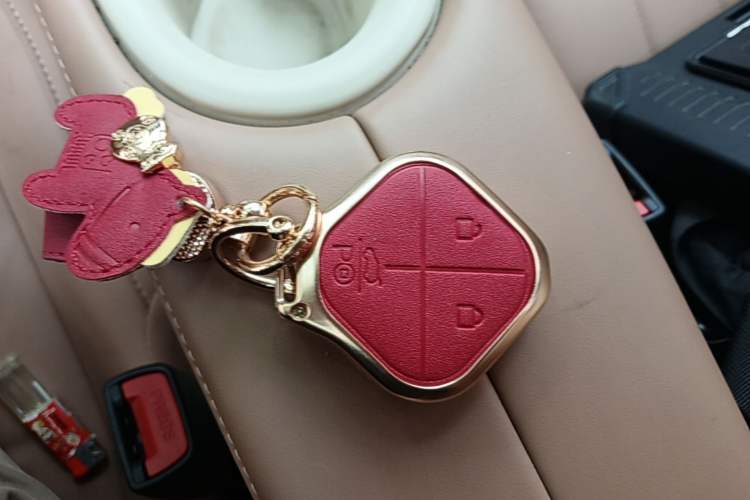 Used Wuling Bingo 2025 333 km Lingxi Deluxe Edition Vehicle Key