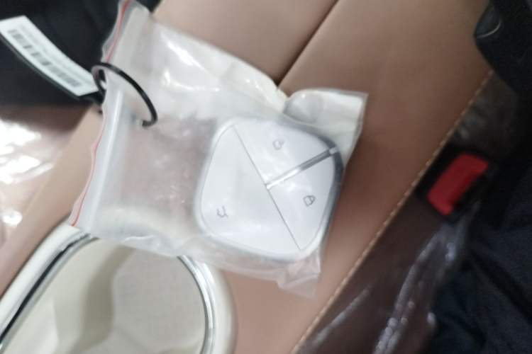 Used Wuling Bingo 2025 333 km Enjoyment Version Vehicle Key