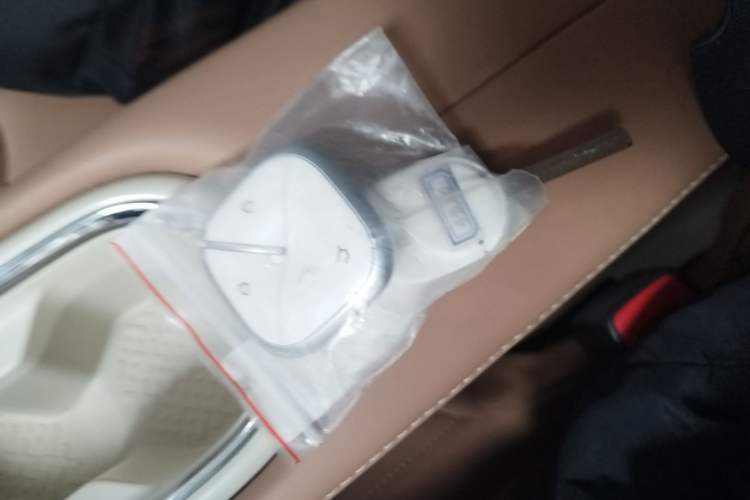 Used Wuling Bingo 2025 410 km Lingxi Deluxe Edition Vehicle Key