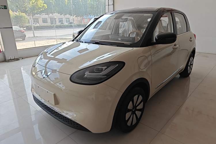 Wuling Bingo 2025 333 km Enjoyment Version