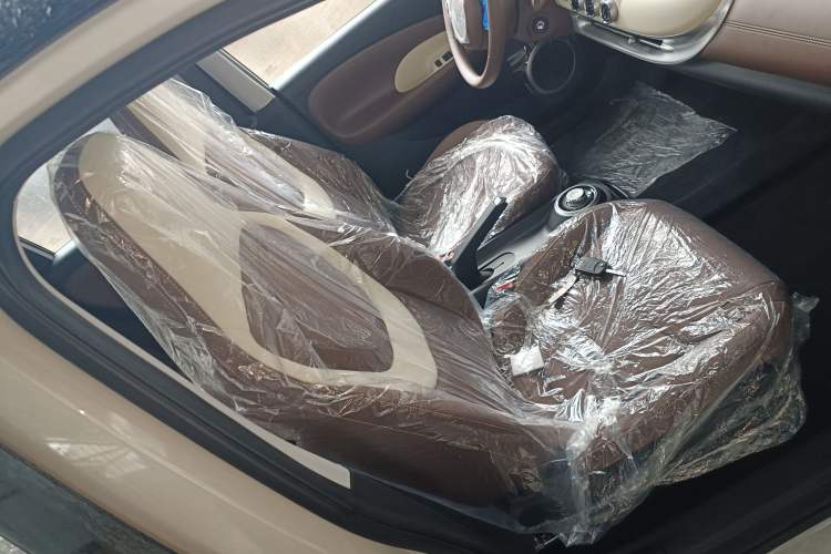 Used Wuling Bingo 2025 203km Light Edition Right Front Seat