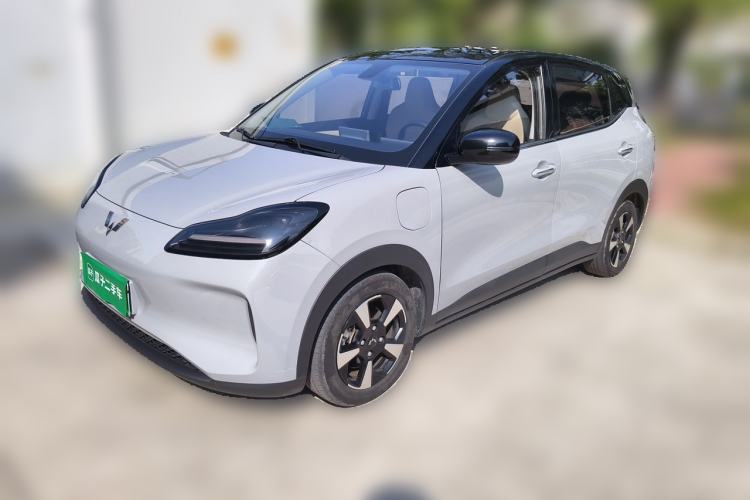 Wuling Bingo PLUS 2024 510 km Flagship Edition Four-Seater Version