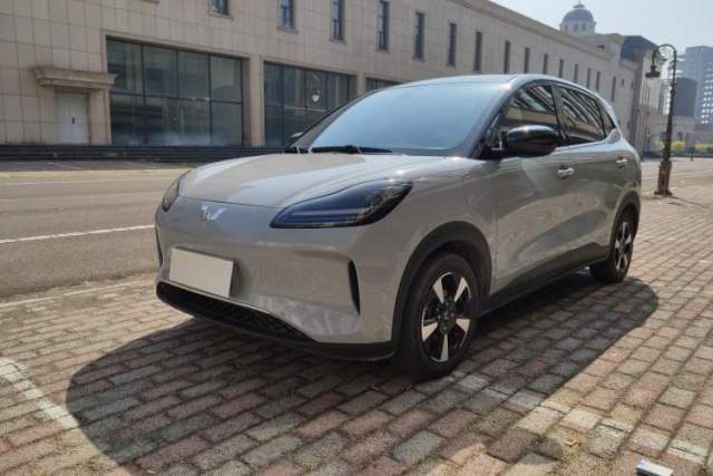 Used Wuling Bingo PLUS 2024 510 km Flagship Edition Four-Seater Version