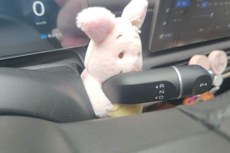 Used Wuling Bingo PLUS 2024 510 km Flagship Edition Four-Seater Version Gear Lever