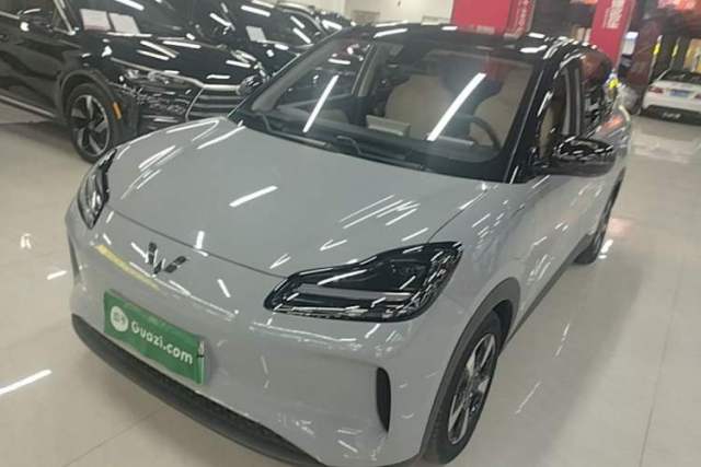 Used Wuling Bingo PLUS 2024 510 km Flagship Edition Four-Seater Version