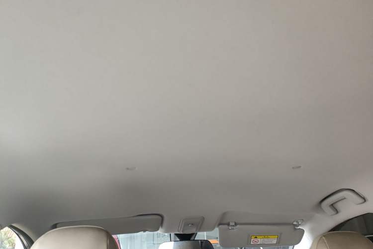 Used Wuling Bingo PLUS 2024 330 km Range Five-Seater Version Headliner