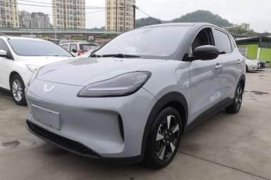 Used Wuling Bingo PLUS 2024 510 km Flagship Edition Four-Seater Version