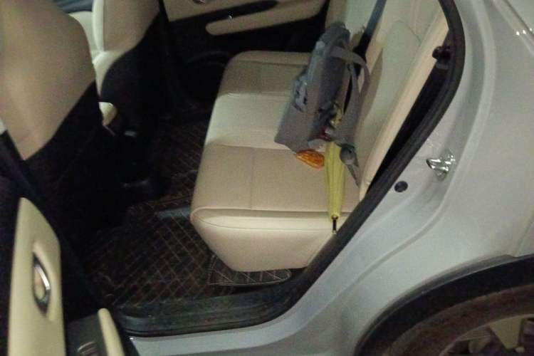 Used Wuling Bingo PLUS 2024 330 km Range Five-Seater Version Left Rear Seat