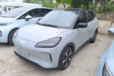 Used Wuling Bingo PLUS 2024 330 km Range Five-Seater Version