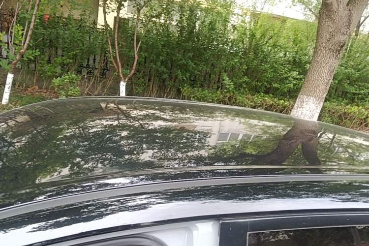 Used Wuling Bingo PLUS 2024 510 km Flagship Edition Four-Seater Version Roof
