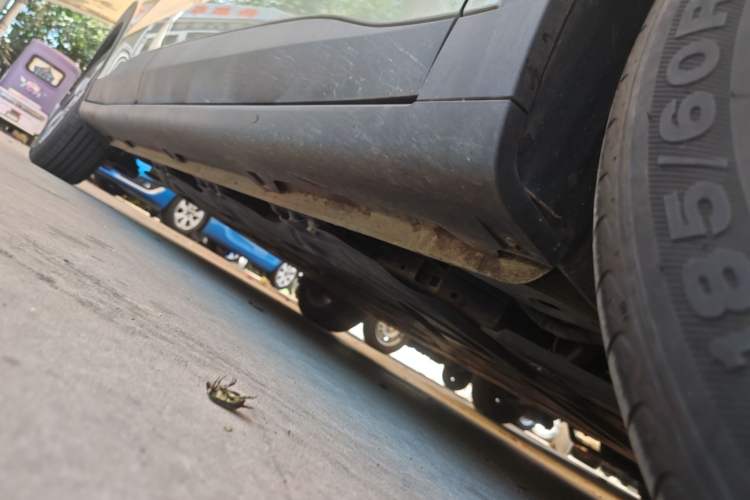 Used Wuling Bingo PLUS 2024 510 km Flagship Edition Four-Seater Version Right Side Sill