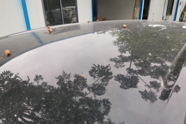 Used Wuling Bingo PLUS 2024 510 km Flagship Edition Four-Seater Version Roof