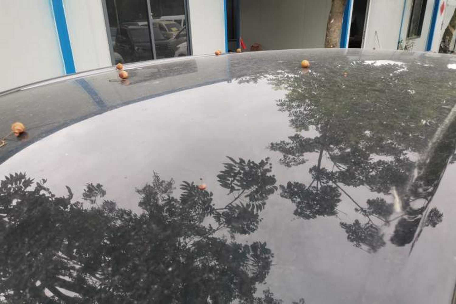Used Wuling Bingo PLUS 2024 510 km Flagship Edition Four-Seater Version Roof