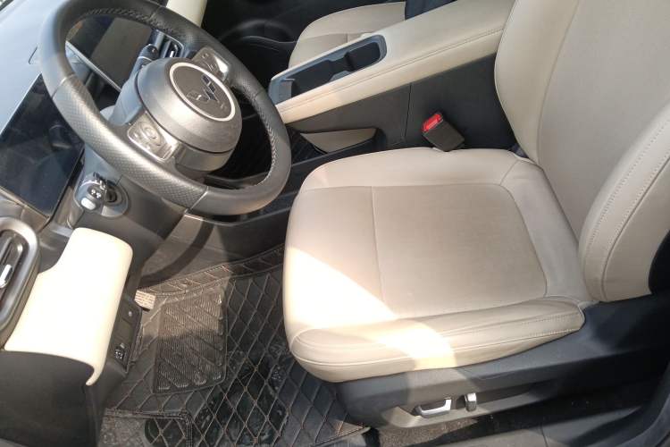 Used Wuling Bingo PLUS 2024 330 km Range Five-Seater Version Left Front Seat