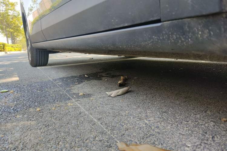 Used Wuling Bingo PLUS 2024 510 km Flagship Edition Four-Seater Version Right Side Sill