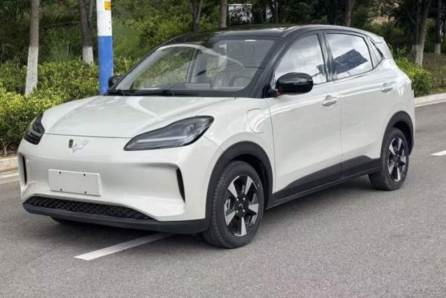 Used Wuling Bingo PLUS 2024 330 km Range Five-Seater Version