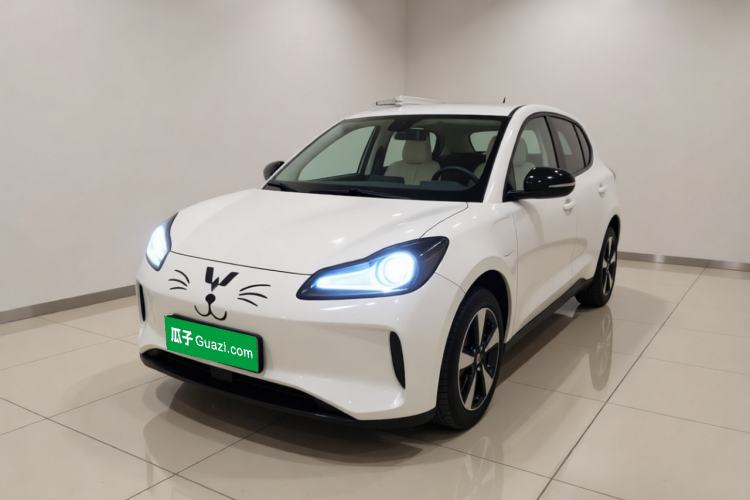 Wuling Bingo PLUS 2024 330 km Range Five-Seater Version