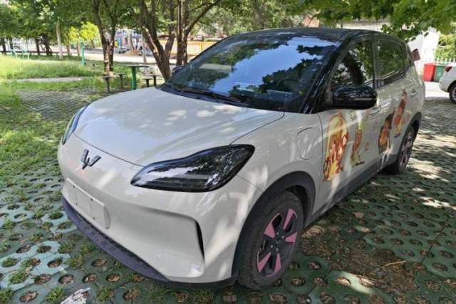 Used Wuling Bingo PLUS 2024 330 km Range Five-Seater Version