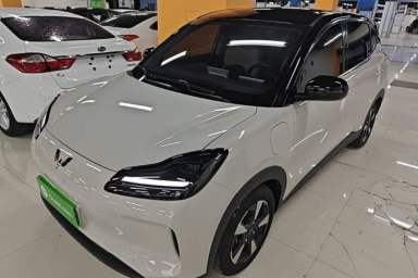 Used Wuling Bingo PLUS 2024 330 km Range Five-Seater Version