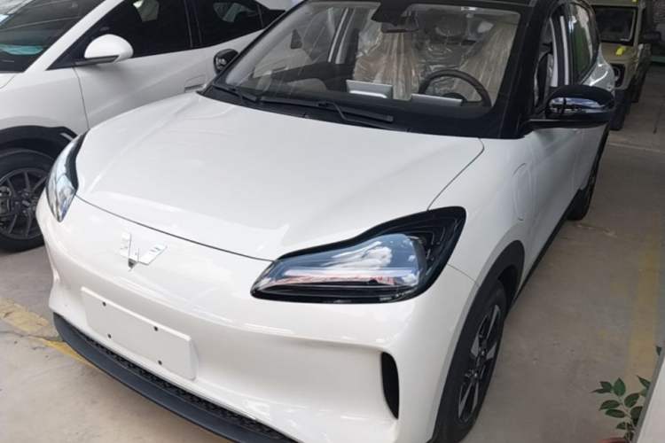 Wuling Bingo PLUS 2024 330 km Range Five-Seater Version