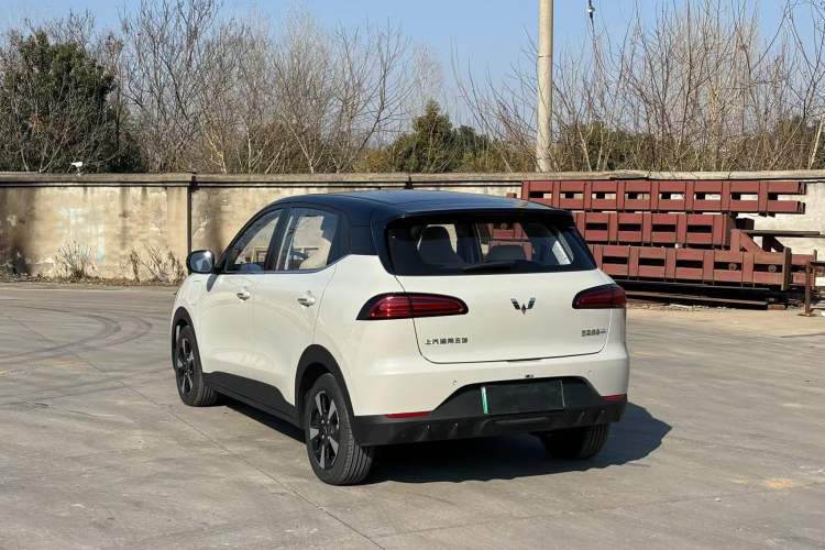 Used Wuling Bingo PLUS 2024 510 km Range 5-Seater Version Exterior 6
