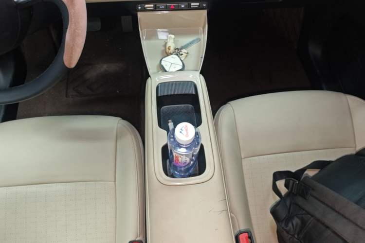 Used Wuling Bingo PLUS 2024 330 km Range Five-Seater Version Gear Lever