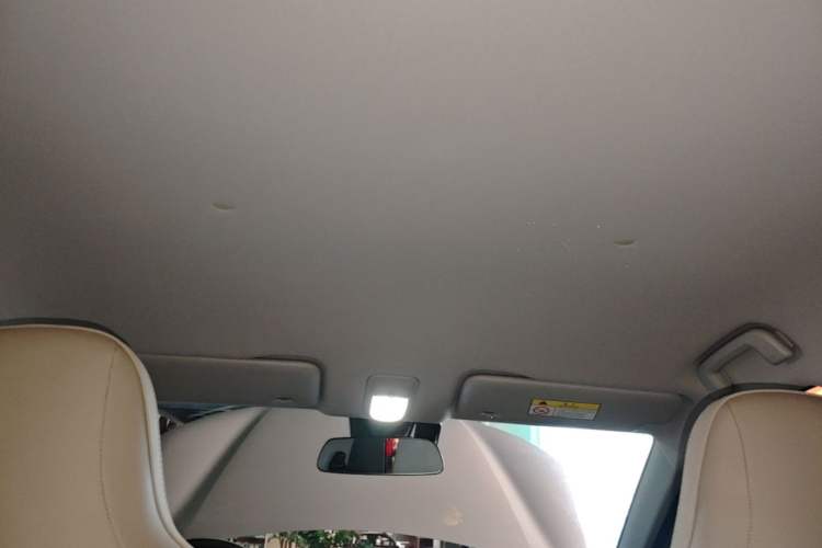 Used Wuling Bingo PLUS 2024 330 km Range Five-Seater Version Headliner