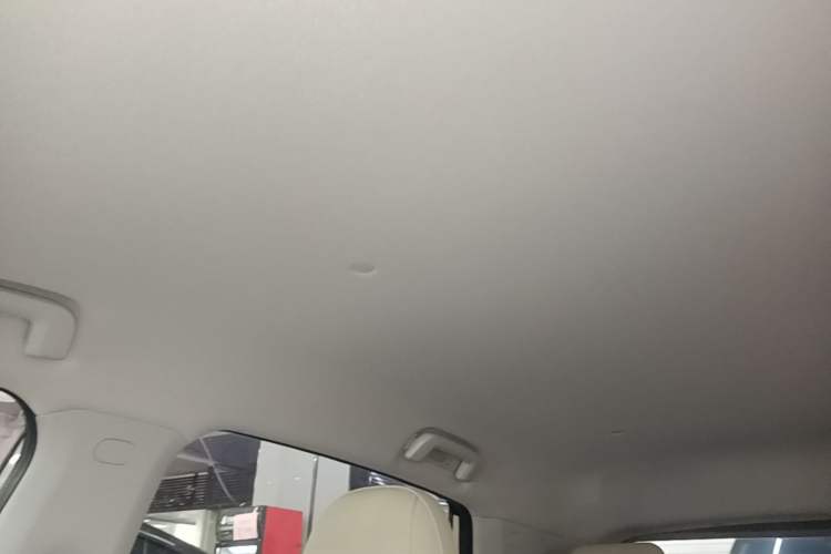 Used Wuling Bingo PLUS 2024 330 km Range Five-Seater Version Headliner