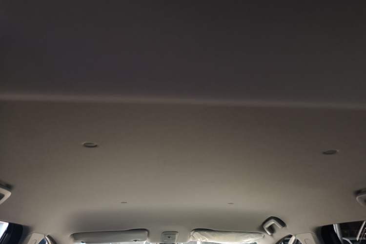 Used Wuling Bingo PLUS 2024 401 km Range 5-Seater Version Headliner