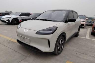 Used Wuling Bingo PLUS 2024 330 km Range Five-Seater Version