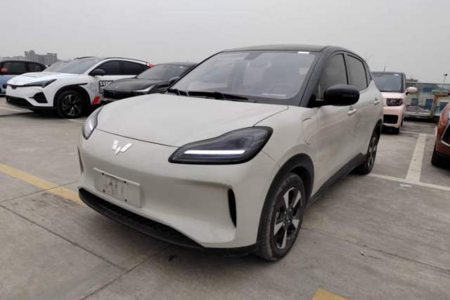 Used Wuling Bingo PLUS 2024 330 km Range Five-Seater Version